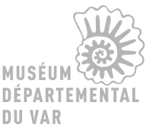 Museum du Var