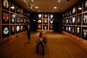 Musée de la chasse et de la nature (Fondation François Sommer)